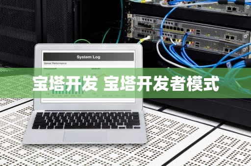 宝塔开发 宝塔开发者模式