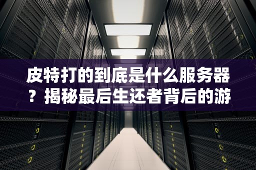 皮特打的到底是什么服务器？揭秘最后生还者背后的游戏服务器黑科技！
