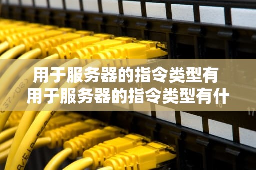 用于服务器的指令类型有 用于服务器的指令类型有什么