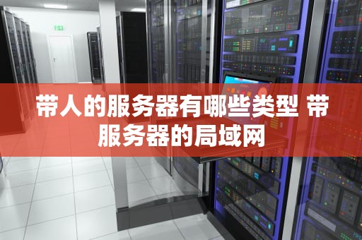 带人的服务器有哪些类型 带服务器的局域网