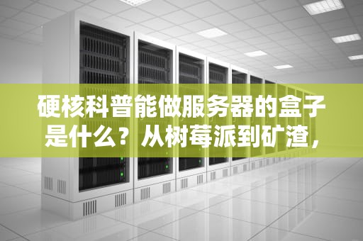 硬核科普能做服务器的盒子是什么？从树莓派到矿渣，这些小盒子竟能跑出企业级性能！