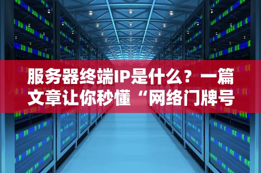 服务器终端IP是什么？一篇文章让你秒懂“网络门牌号”的奥秘！