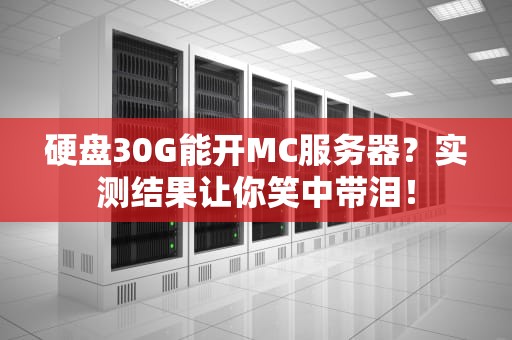 硬盘30G能开MC服务器？实测结果让你笑中带泪！