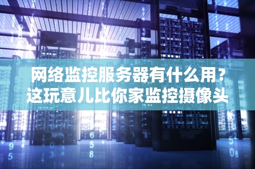 网络监控服务器有什么用？这玩意儿比你家监控摄像头还忙！