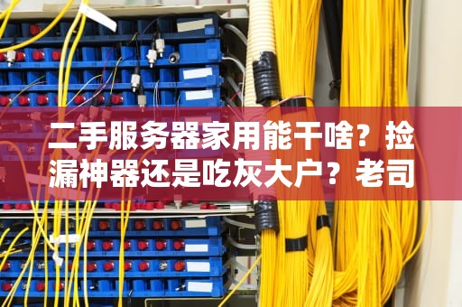 二手服务器家用能干啥？捡漏神器还是吃灰大户？老司机带你玩转废铁变宝！