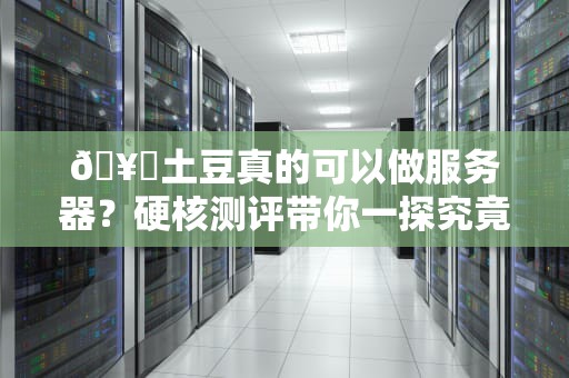 🥔土豆真的可以做服务器？硬核测评带你一探究竟！