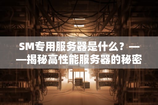 SM专用服务器是什么？——揭秘高性能服务器的秘密武器