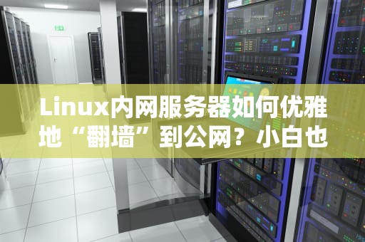 Linux内网服务器如何优雅地“翻墙”到公网？小白也能搞定的端口映射指南！