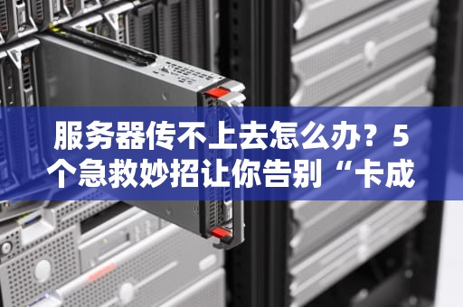 服务器传不上去怎么办？5个急救妙招让你告别“卡成PPT”的尴尬！
