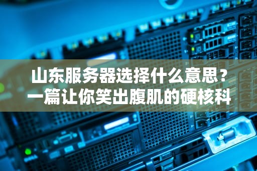山东服务器选择什么意思？一篇让你笑出腹肌的硬核科普！