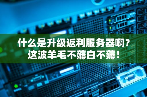 什么是升级返利服务器啊？这波羊毛不薅白不薅！