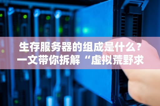 生存服务器的组成是什么？一文带你拆解“虚拟荒野求生”的核心装备！