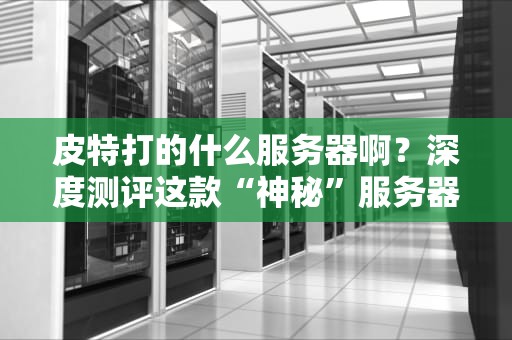 皮特打的什么服务器啊？深度测评这款“神秘”服务器的性能与性价比！