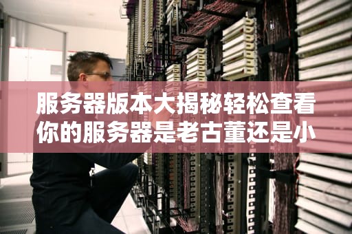 服务器版本大揭秘轻松查看你的服务器是老古董还是小鲜肉！