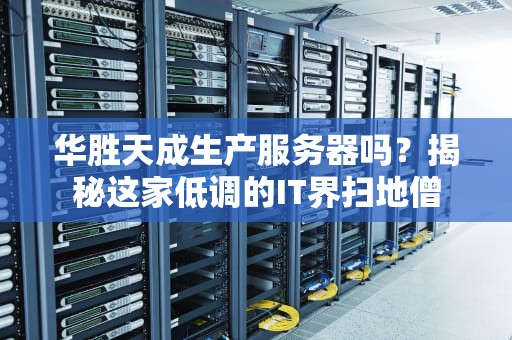 华胜天成生产服务器吗？揭秘这家低调的IT界扫地僧