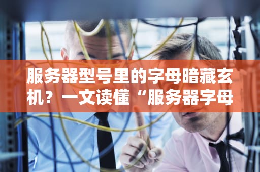 服务器型号里的字母暗藏玄机？一文读懂“服务器字母密码”的奥秘！
