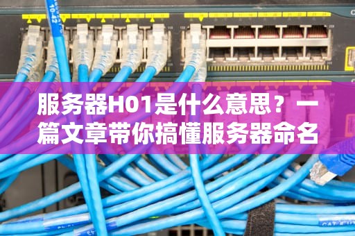 服务器H01是什么意思？一篇文章带你搞懂服务器命名玄学！