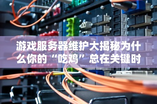 游戏服务器维护大揭秘为什么你的“吃鸡”总在关键时刻掉链子？