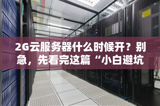 2G云服务器什么时候开？别急，先看完这篇“小白避坑指南”再上车！