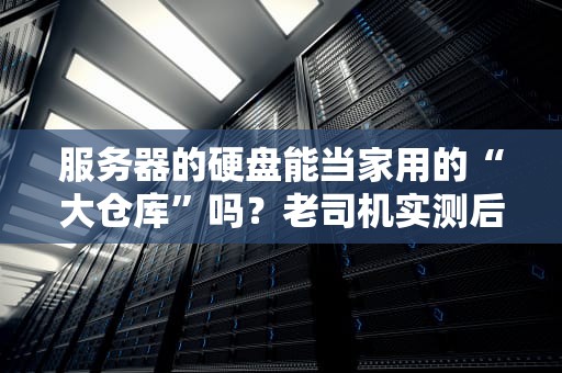 服务器的硬盘能当家用的“大仓库”吗？老司机实测后笑出猪叫！