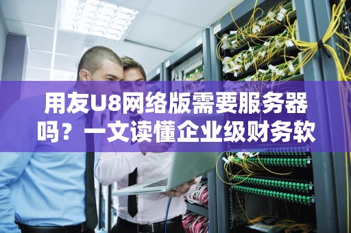 用友U8网络版需要服务器吗？一文读懂企业级财务软件的“硬核搭档”！