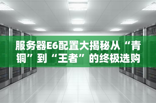 服务器E6配置大揭秘从“青铜”到“王者”的终极选购指南！