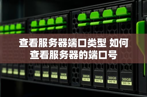 查看服务器端口类型 如何查看服务器的端口号