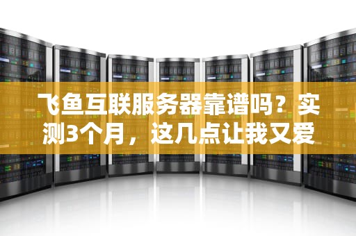 飞鱼互联服务器靠谱吗？实测3个月，这几点让我又爱又恨！