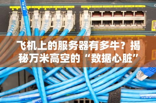 飞机上的服务器有多牛？揭秘万米高空的“数据心脏”还能涮火锅？