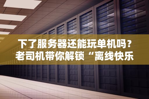 下了服务器还能玩单机吗？老司机带你解锁“离线快乐”的N种姿势！