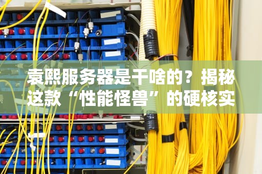 袁熙服务器是干啥的？揭秘这款“性能怪兽”的硬核实力与骚操作！