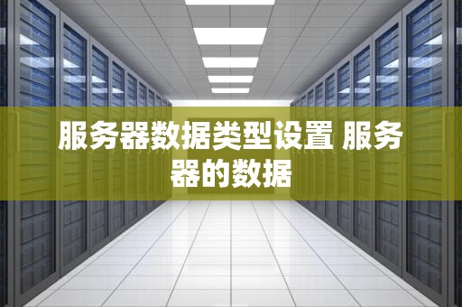 服务器数据类型设置 服务器的数据