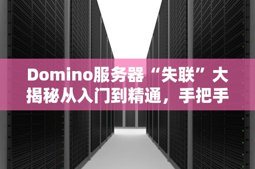 Domino服务器“失联”大揭秘从入门到精通，手把手教你排查连不上主机的N种姿势！