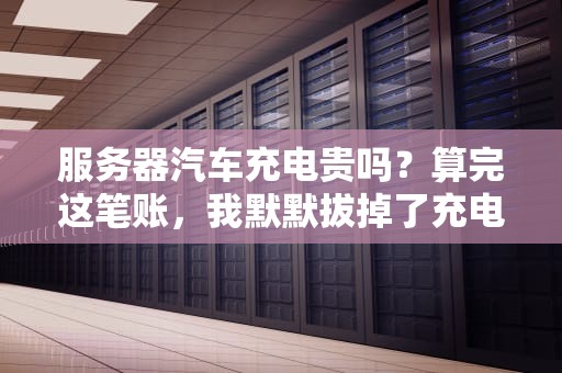 服务器汽车充电贵吗？算完这笔账，我默默拔掉了充电桩…