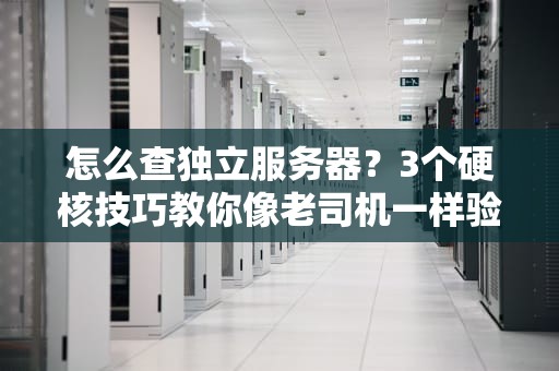 怎么查独立服务器？3个硬核技巧教你像老司机一样验货！