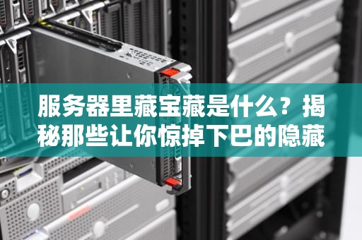 服务器里藏宝藏是什么？揭秘那些让你惊掉下巴的隐藏资源！