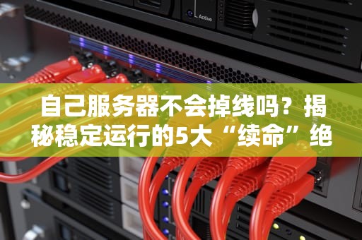 自己服务器不会掉线吗？揭秘稳定运行的5大“续命”绝招！