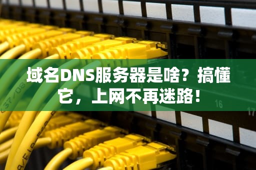 域名DNS服务器是啥？搞懂它，上网不再迷路！