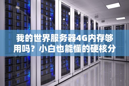 我的世界服务器4G内存够用吗？小白也能懂的硬核分析！