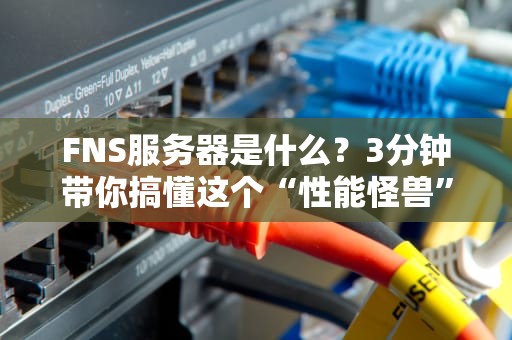 FNS服务器是什么？3分钟带你搞懂这个“性能怪兽”的硬核真相！