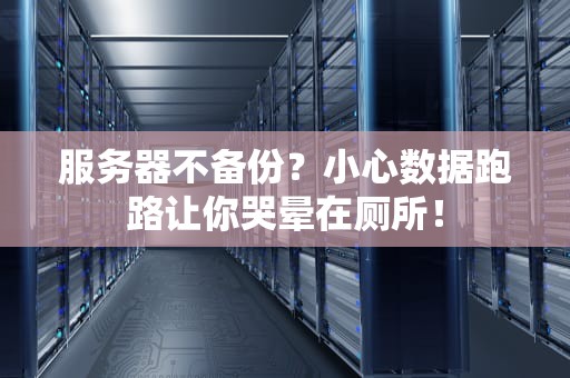 服务器不备份？小心数据跑路让你哭晕在厕所！