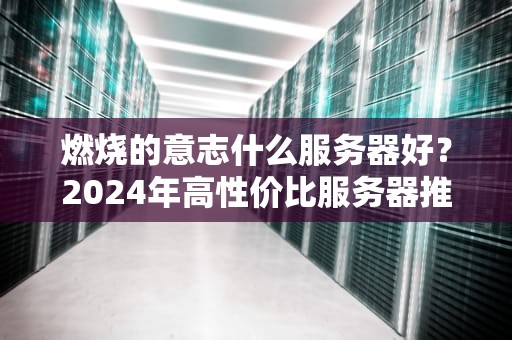 燃烧的意志什么服务器好？2024年高性价比服务器推荐，小白也能看懂！