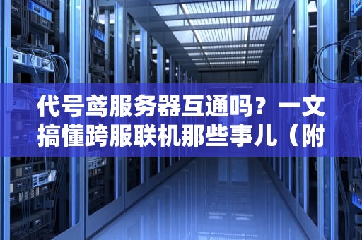 代号鸢服务器互通吗？一文搞懂跨服联机那些事儿（附专业测评）