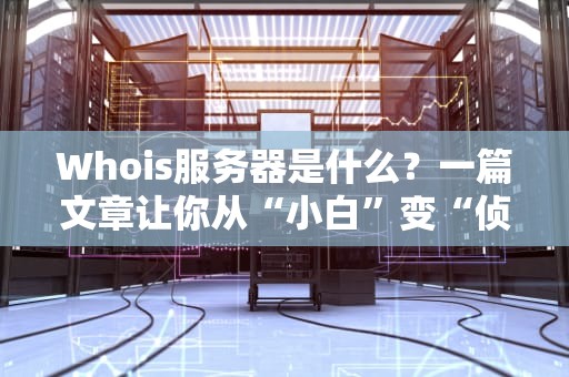 Whois服务器是什么？一篇文章让你从“小白”变“侦探”