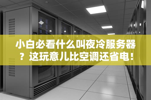 小白必看什么叫夜冷服务器？这玩意儿比空调还省电！