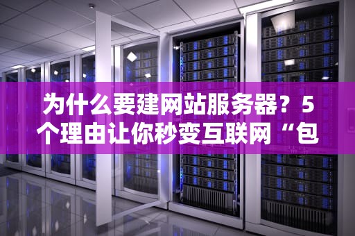 为什么要建网站服务器？5个理由让你秒变互联网“包租公”