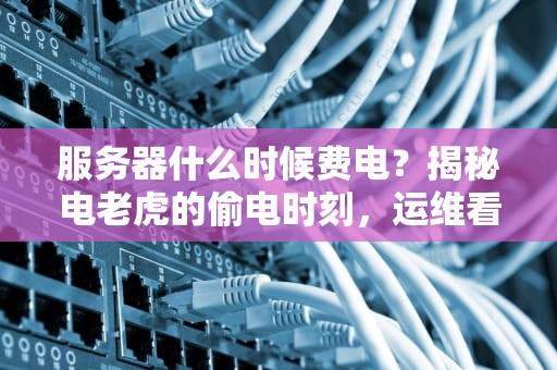 服务器什么时候费电？揭秘电老虎的偷电时刻，运维看了都摇头！