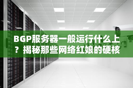 BGP服务器一般运行什么上？揭秘那些网络红娘的硬核日常！