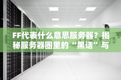 FF代表什么意思服务器？揭秘服务器圈里的“黑话”与性能玄学