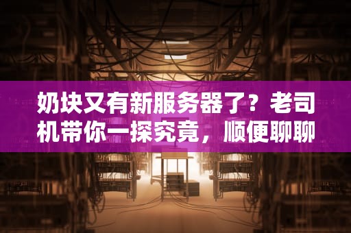 奶块又有新服务器了？老司机带你一探究竟，顺便聊聊选服那些坑！